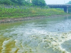 保定蠡县污水清运多少钱